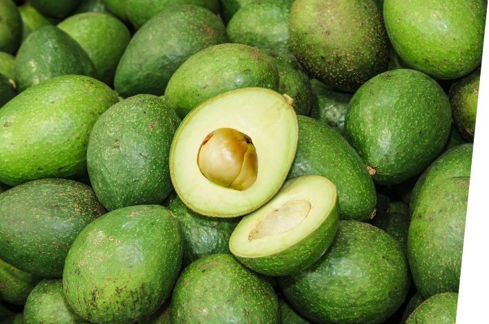 aguacate
