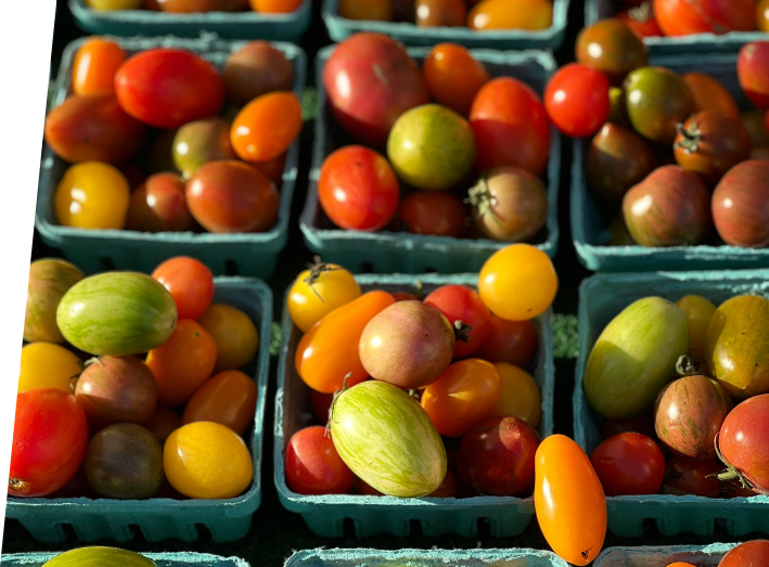 cajas-frutas