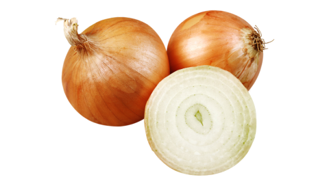 cebolla