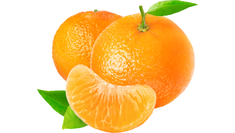 mandarina