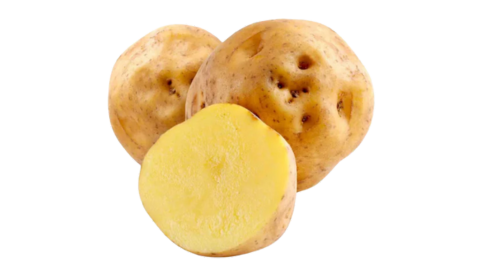 papa-amarilla2